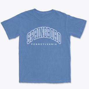 Springboro Pennsylvania Inline Premium Heavyweight T-shirt