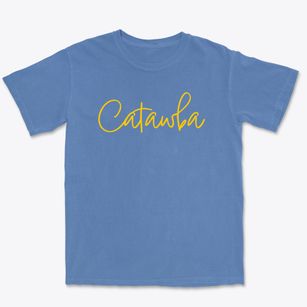 Catawba North Carolina Freestyle Premium Heavyweight T-shirt