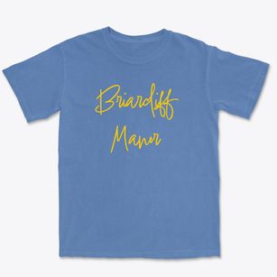 Briarcliff Manor New York Freestyle Premium Heavyweight T-shirt