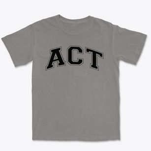 Academy Of Careers & Technology Varsity Arch Premium Heavyweight T-shirt