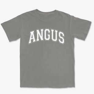 Angus Elementary School Varsity Arch Premium Heavyweight T-shirt