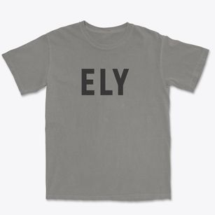 Ely Nevada Classic Block Premium Heavyweight T-shirt