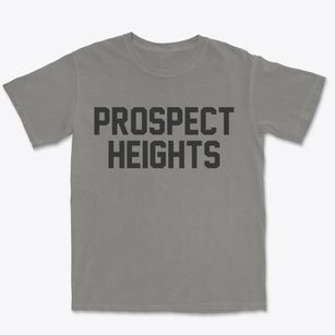 Prospect Heights Illinois Classic Block Premium Heavyweight T-shirt