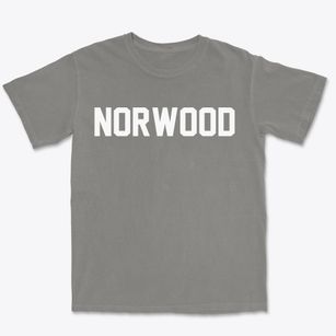 Norwood New Jersey Classic Block Premium Heavyweight T-shirt
