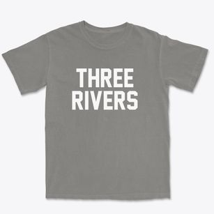 Three Rivers Michigan Classic Block Premium Heavyweight T-shirt