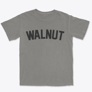 Walnut Mississippi Classic Curve Premium Heavyweight T-shirt