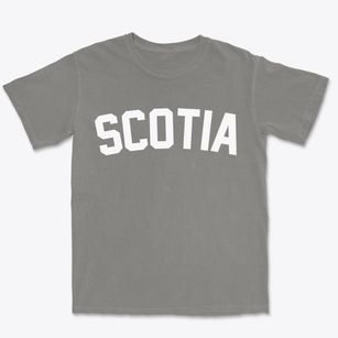 Scotia South Carolina Classic Curve Premium Heavyweight T-shirt