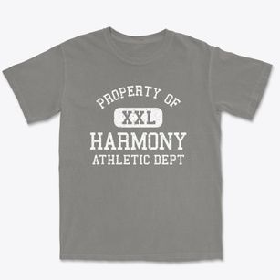 Harmony Pennsylvania Athletic Dept Premium Heavyweight T-shirt
