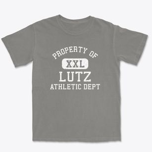 Lutz Florida Athletic Dept Premium Heavyweight T-shirt