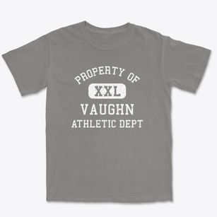 Vaughn Washington Athletic Dept Premium Heavyweight T-shirt