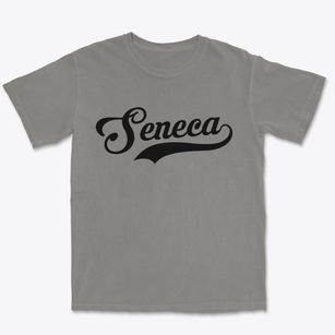 Seneca Missouri Vintage Team Premium Heavyweight T-shirt