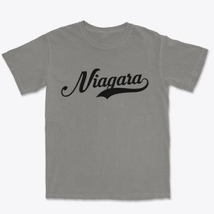 Niagara Wisconsin Vintage Team Premium Heavyweight T-shirt