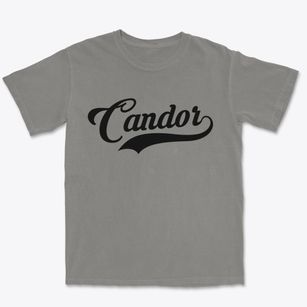 Candor North Carolina Vintage Team Premium Heavyweight T-shirt