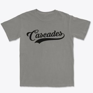 Cascades Virginia Vintage Team Premium Heavyweight T-shirt