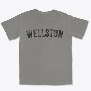 Wellston Missouri Timeless Retro Premium Heavyweight T-shirt