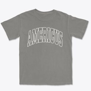 Americus Indiana Trendy Block Premium Heavyweight T-shirt