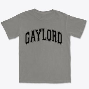 Gaylord Michigan Varsity Premium Heavyweight T-shirt