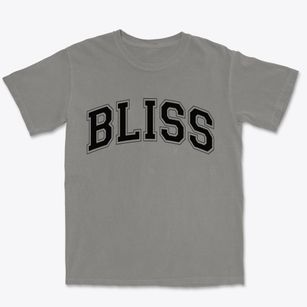 Bliss New York Varsity Premium Heavyweight T-shirt