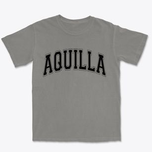 Aquilla Ohio Varsity Premium Heavyweight T-shirt