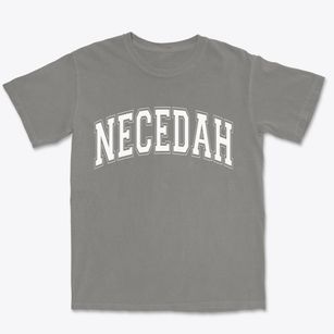 Necedah Wisconsin Varsity Premium Heavyweight T-shirt