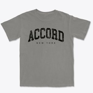Accord New York Urban Vibe Premium Heavyweight T-shirt