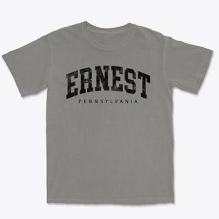 Ernest Pennsylvania Urban Vibe Premium Heavyweight T-shirt