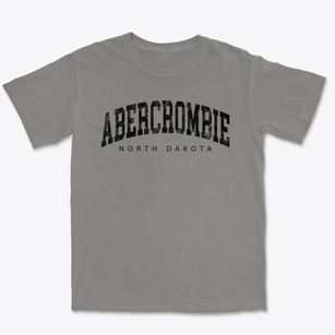 Abercrombie North Dakota Urban Vibe Premium Heavyweight T-shirt