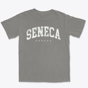 Seneca Kansas Urban Vibe Premium Heavyweight T-shirt