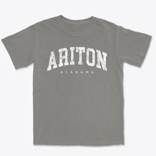 Ariton Alabama Urban Vibe Premium Heavyweight T-shirt