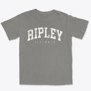 Ripley Illinois Urban Vibe Premium Heavyweight T-shirt