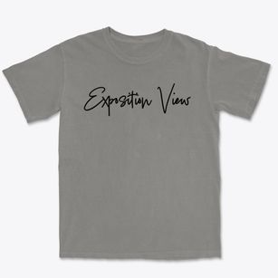 Exposition View Illinois Freestyle Premium Heavyweight T-shirt