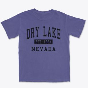 Dry Lake Nevada Classic Established Premium Heavyweight T-shirt