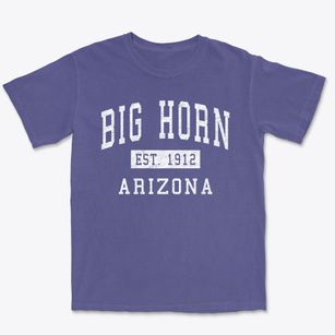 Big Horn Arizona Classic Established Premium Heavyweight T-shirt