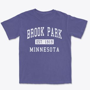 Brook Park Minnesota Classic Established Premium Heavyweight T-shirt