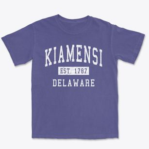 Kiamensi Delaware Classic Established Premium Heavyweight T-shirt
