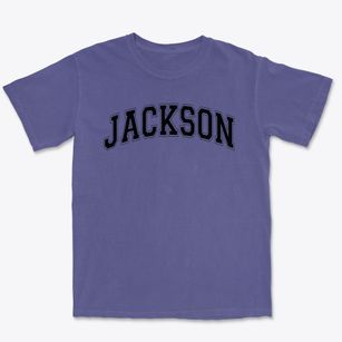 Jackson Elementary School Varsity Arch Premium Heavyweight T-shirt