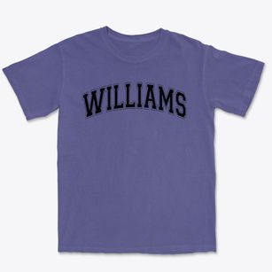 Williams Academy Varsity Arch Premium Heavyweight T-shirt