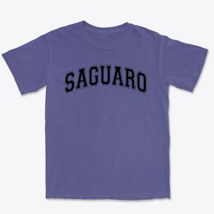 Saguaro Elementary School Varsity Arch Premium Heavyweight T-shirt