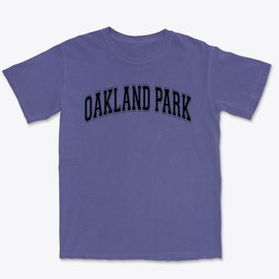 Oakland Park School Varsity Arch Premium Heavyweight T-shirt