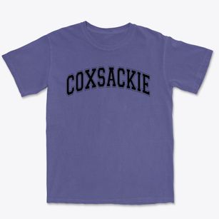 Coxsackie-athens Central High School Varsity Arch Premium Heavyweight T-shirt