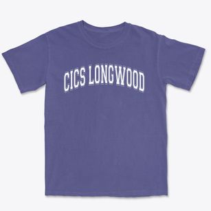 Chicago International Charter-longwood Academy Varsity Arch Premium Heavyweight T-shirt