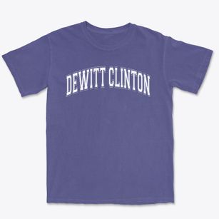 Dewitt Clinton Elementary School Varsity Arch Premium Heavyweight T-shirt
