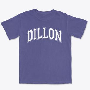 Dillon Elementary School Varsity Arch Premium Heavyweight T-shirt