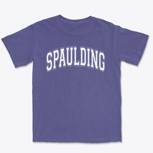 C C Spaulding Biospere Magnet School Varsity Arch Premium Heavyweight T-shirt