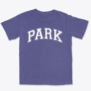 Park Elementary School Varsity Arch Premium Heavyweight T-shirt