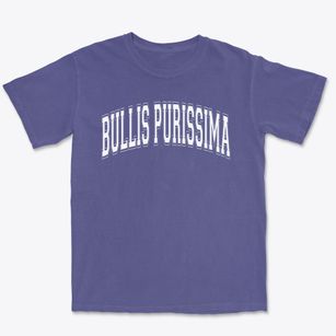 Bullis Purissima Elementary School Varsity Arch Premium Heavyweight T-shirt
