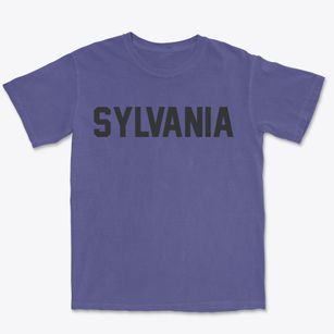 Sylvania Pennsylvania Classic Block Premium Heavyweight T-shirt