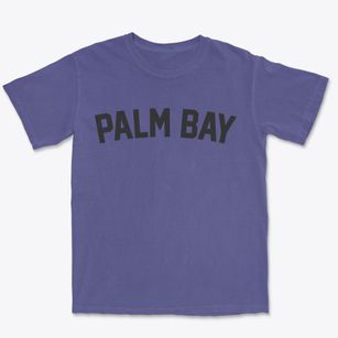 Palm Bay Florida Classic Curve Premium Heavyweight T-shirt