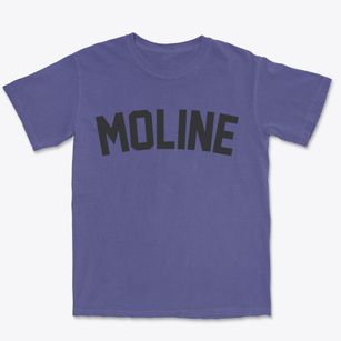 Moline Kansas Classic Curve Premium Heavyweight T-shirt