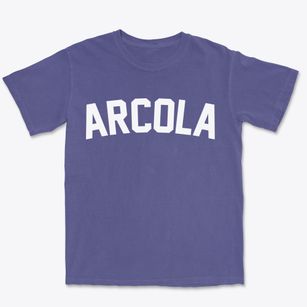 Arcola Mississippi Classic Curve Premium Heavyweight T-shirt